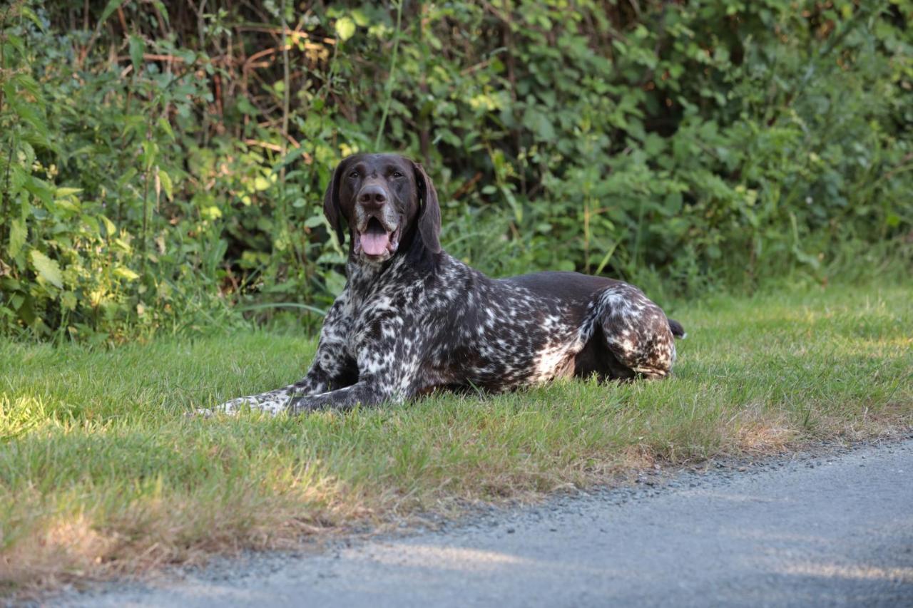 Relais De Chasse La Chaignaie 3* Saint-Hilaire-de-Loulay